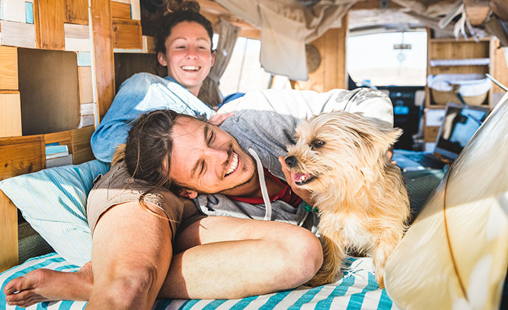 VanLife With Your Dog