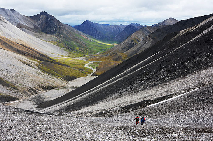 arctic national park