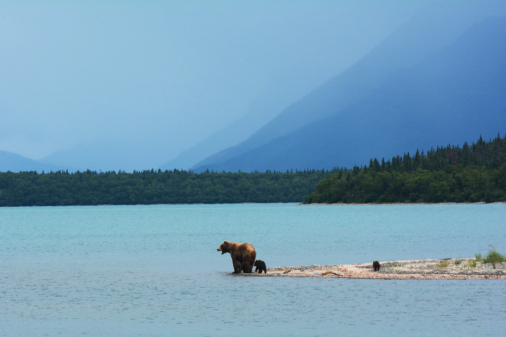 katmai national park