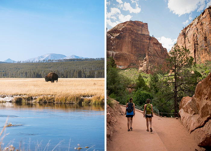 yellowstone vs zion