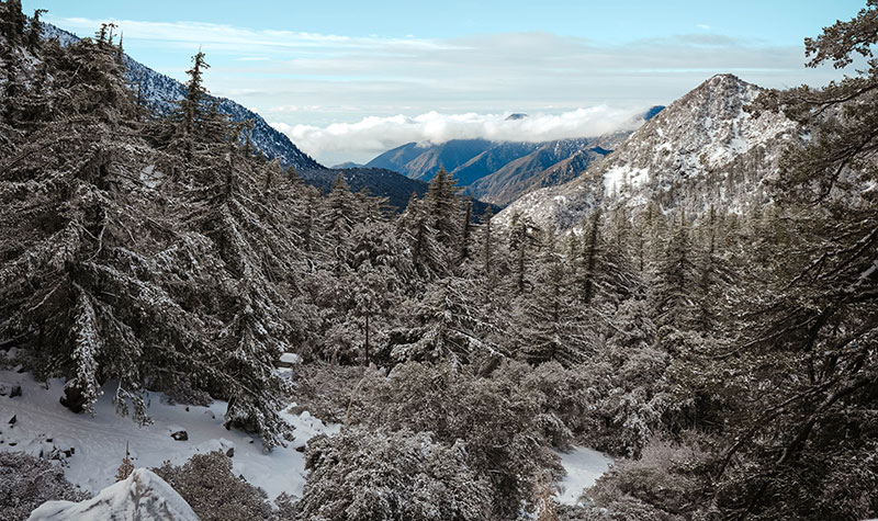 mount baldy