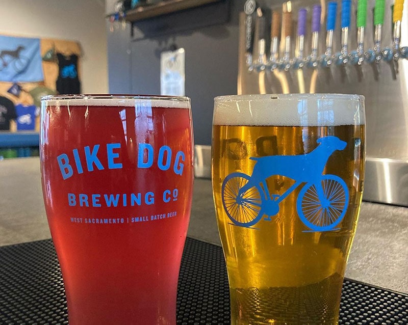 Bike Dog Brewing Co - Best Brewery In Sacramento