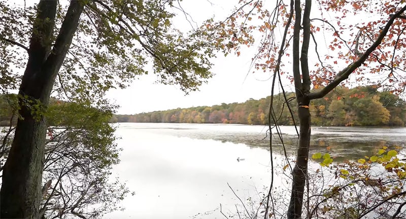 Blydenburgh County Park Stump Pond Loop - Brentwood, NY