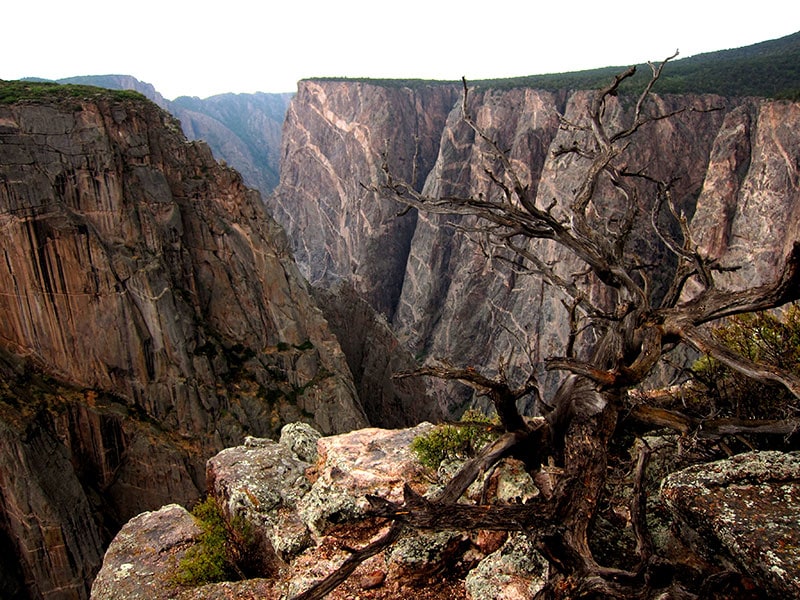 Black Canyon of the Gunnison National Park - Northern Lights Colorado