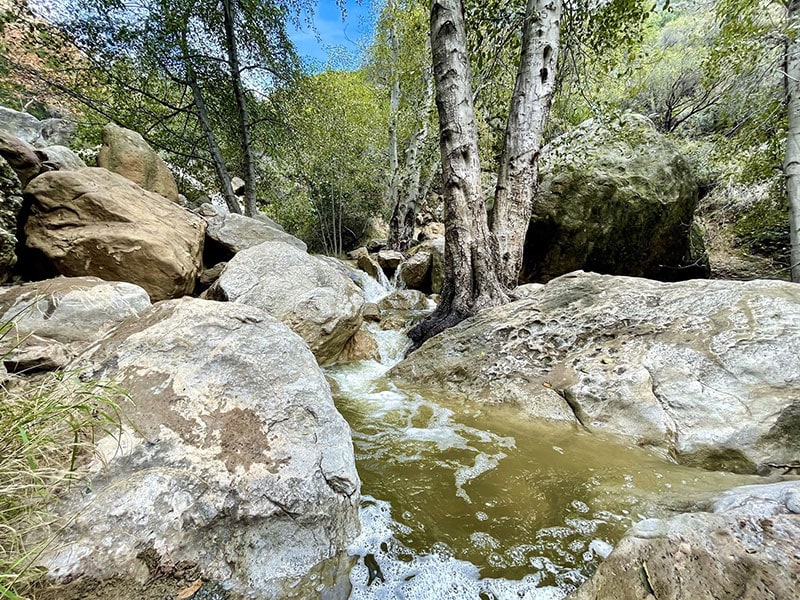 Black Star Canyon Falls Trail - Silverado, CA