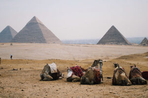 6 People Reveal Their Experience While Visiting Egypt